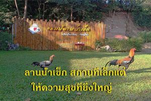 ลานน้ำเข็ก