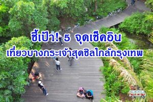 5 จุดเช็คอิน เที่ยวบางกระเจ้าสุดชิลใกล้กทม