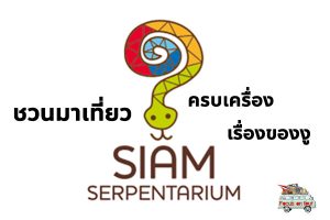 Siam serpentatium ครบเครื่องเรื่องของงู