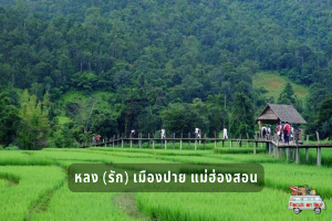 หลง (รัก) เมืองปาย แม่ฮ่องสอน