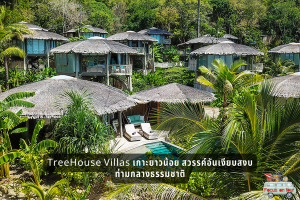 TreeHouse Villas เกาะยาวน้อย สวรรค์อันเงียบสงบท่ามกลางธรรมชาติ